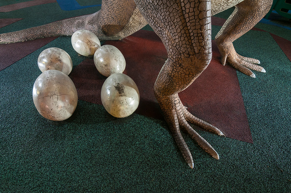 Dinosaurs eggs