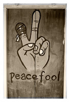 Peace Fool