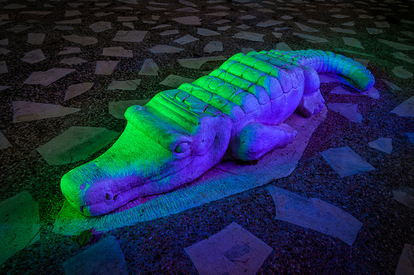 Alligator (Animal Kingdom playground)